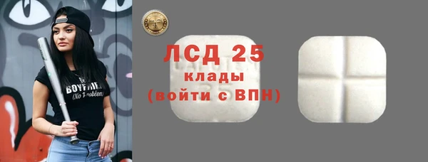 амф Зерноград