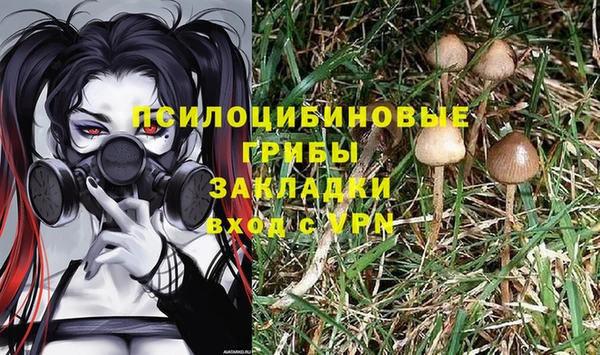 амф Зерноград
